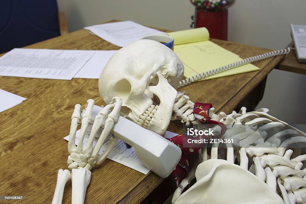 Waiting FOREVER on hold A skeleton representing a business person who has died while "On Hold" on the phone. Human Skeleton Stock Photo