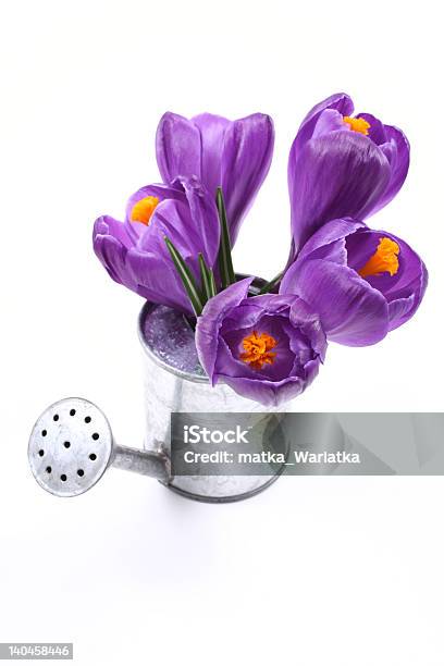 Spring Stockfoto und mehr Bilder von Baumblüte - Baumblüte, Blume, Blüte