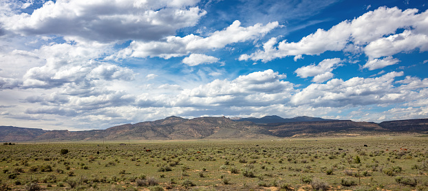 Landscape, desert land and blue sky with clouds. Sunny spring day in American countryside. New Mexico USA