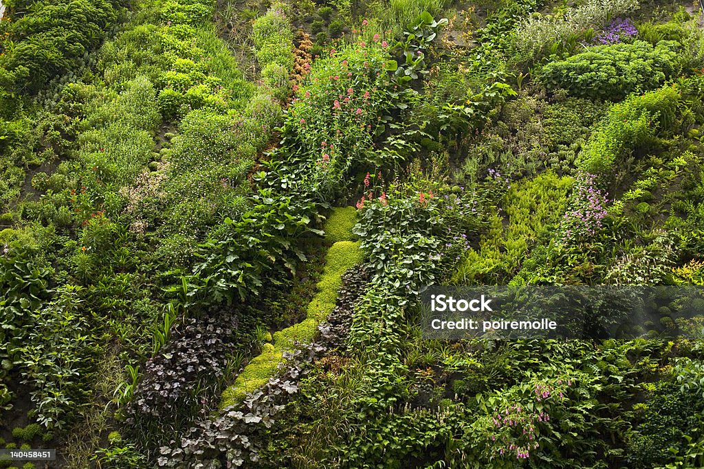 plants garden Beauty In Nature Stock Photo