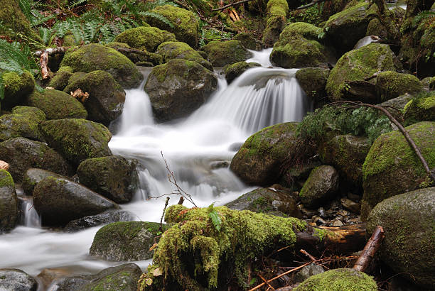 Mossy Waterfall stock photo