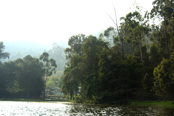 View of lake, trees and mountain at Kodaikanal in Tamil Nadu, India, Asia