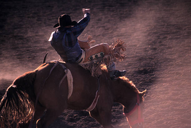 chutar pó de rodeio - rodeo cowboy motion horse imagens e fotografias de stock