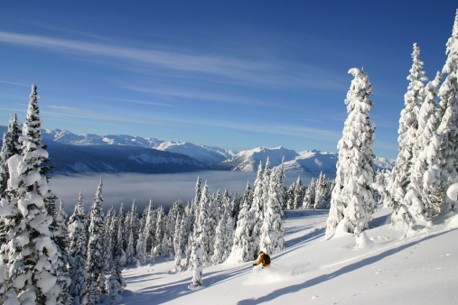 Skiing the fresh backcountry powder in British Columbia, Canada.