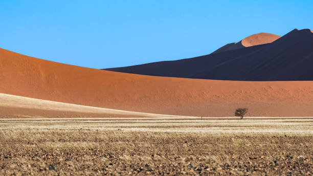 istock Namibia, the Namib desert, graphic landscape 1404588595