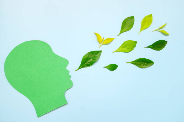 Environmental conservation advocacy, speak campaign and fresh breath concept. Human head profile cutout with fresh leaves on mouth flat lay. Environmental conservation advocacy, speak campaign and fresh breath concept. Human head profile cutout with fresh leaves on mouth flat lay. social awareness symbol audio stock pictures, royalty-free photos & images