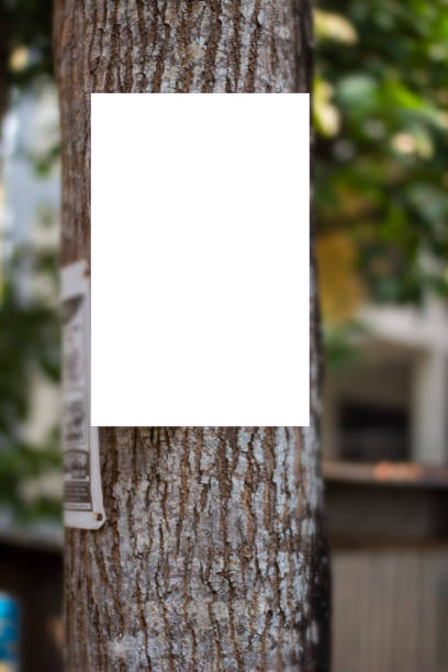 istock A blank white signboard hanging with a long tree and the background blur. 1404588683