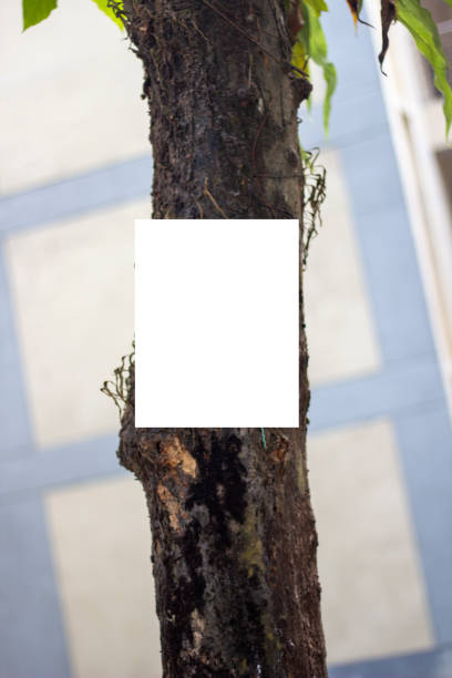 istock A blank white signboard hanging with a long tree and the background blur. 1404588685