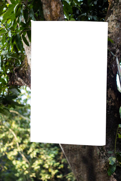 istock A blank white signboard hanging with a long tree and the background blur. 1404588753