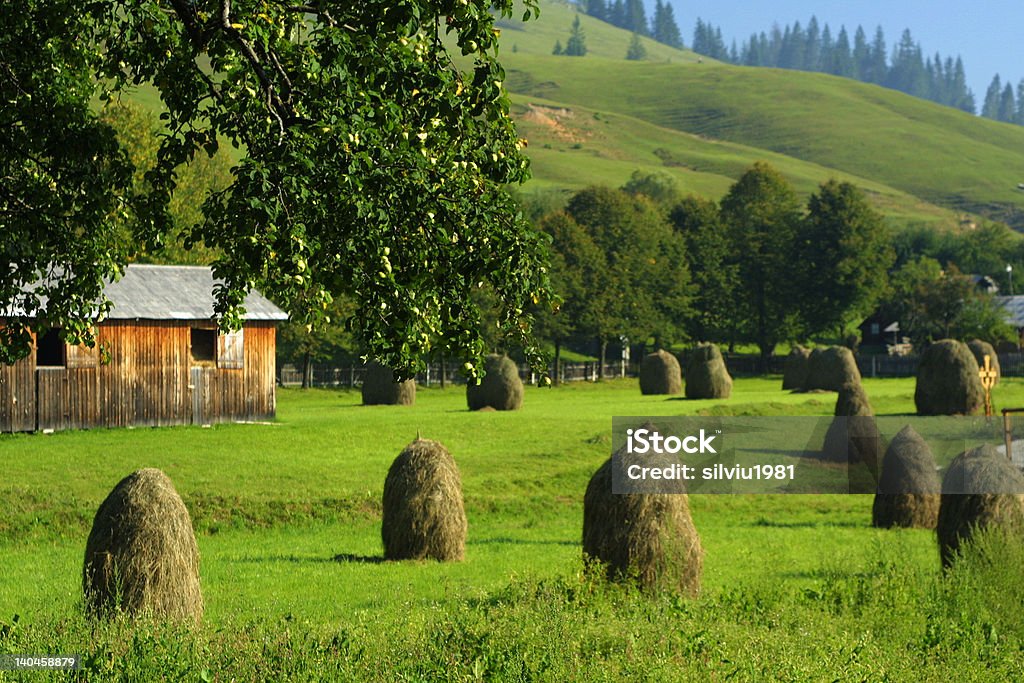 Rumänien Land - Lizenzfrei Berg Stock-Foto