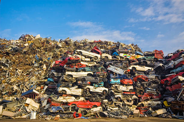 scene on a scrap heap