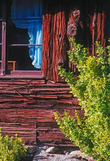 Windows on the Log Cabin