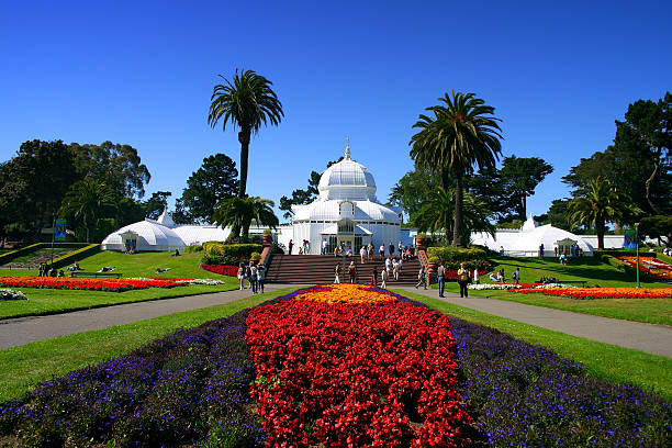 conservatory цветов, сан-франциско - golden gate park стоковые фото и изображения