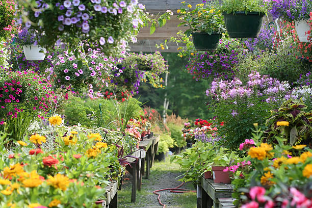 il giardino - centro per il giardinaggio foto e immagini stock