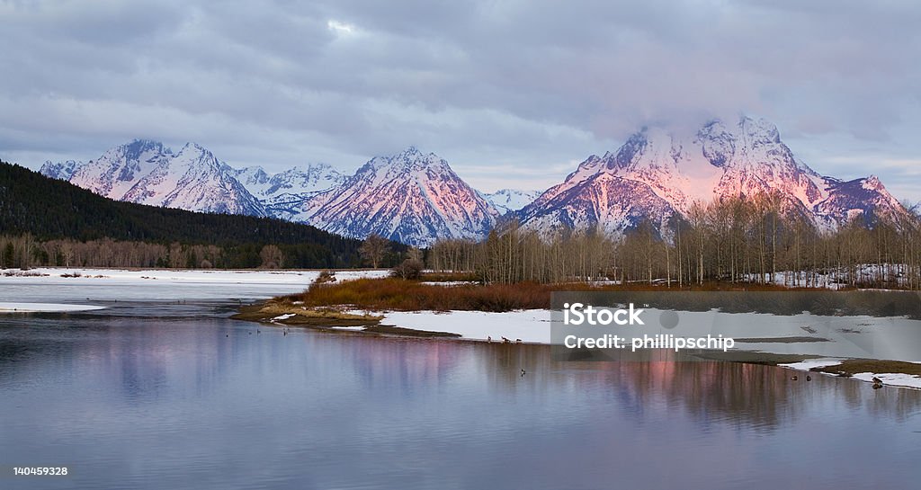 Pierwszy światło w Oxbow Przychylają, Park Narodowy Grand Teton - Zbiór zdjęć royalty-free (Góra Grand Teton)