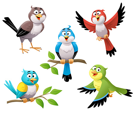 Set of cute colorful birds flying, sitting and standing, isolated on white background.