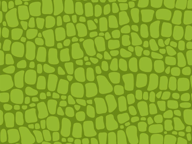 tekstura skóry aligatora. bezszwowy wzór krokodyla, zielony i dzikie tropikalne zwierzę lether tło wektorowe - reptile skin stock illustrations