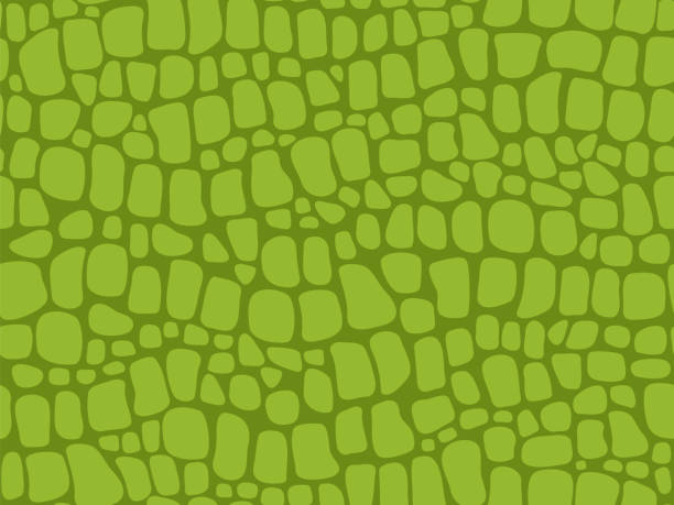 Alligator skin texture. Seamless crocodile pattern, green reptile and wild tropical animal lether vector background. Illustration of crocodile pattern skin, texture background snakeskin or alligator