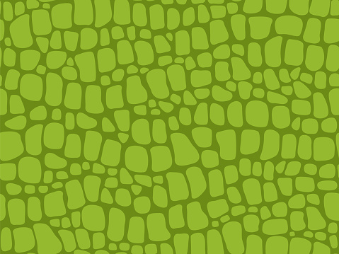 Alligator skin texture. Seamless crocodile pattern, green reptile and wild tropical animal lether vector background. Illustration of crocodile pattern skin, texture background snakeskin or alligator