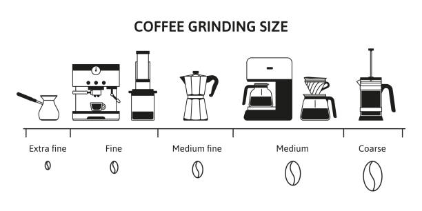 ilustrações de stock, clip art, desenhos animados e ícones de coffee grind size chart. beans grinding guide for different brewing methods. fine, medium and coarse grinds infographic vector illustration - grinding