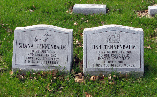 Two dog grave stones