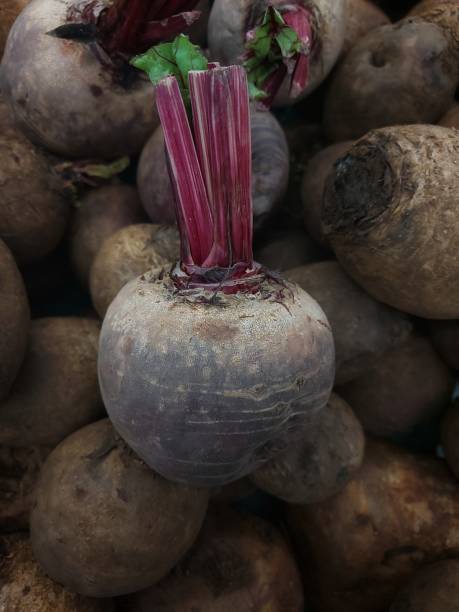 istock The vegetables on the background. 1404601146