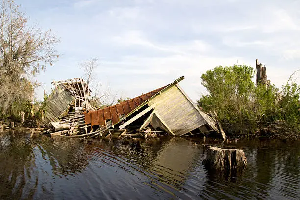 This fishing camp collapsed when the storm surge of Hurricane Katrina flooded the Manchac Swamp, off Lake Maurepas, just north of New Orleans.