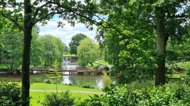 istock A Red bridge over a lake in a wooded park 1404605580