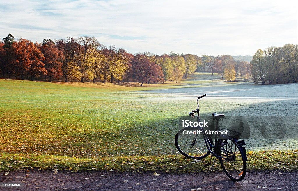 Sonnenaufgang im park - Lizenzfrei Herbst Stock-Foto