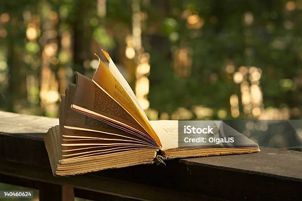 Book Of Poetry Stock Photo - Download Image Now - Antique, Arrangement, Art