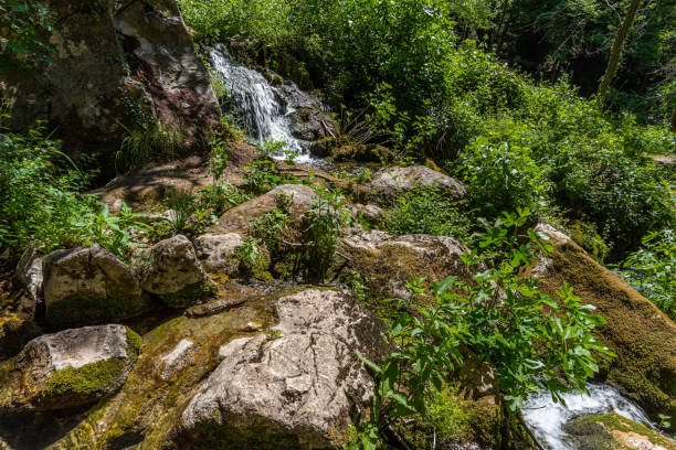 istock Fontegreca, Campania, Matese Regional Park. La Cipresseta 1404608863