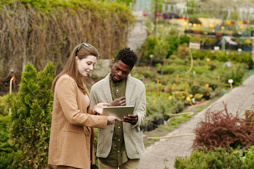 Young woman showing her house project on digital tablet to landscape designer while they buying plants in garden
