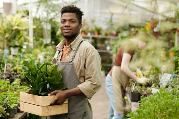 istock Nursery owner working in greenhouse 1404610528