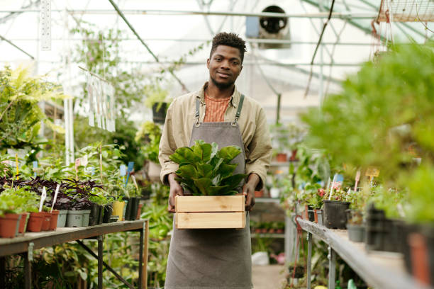 istock Gardener cultivating plants for sale 1404610531