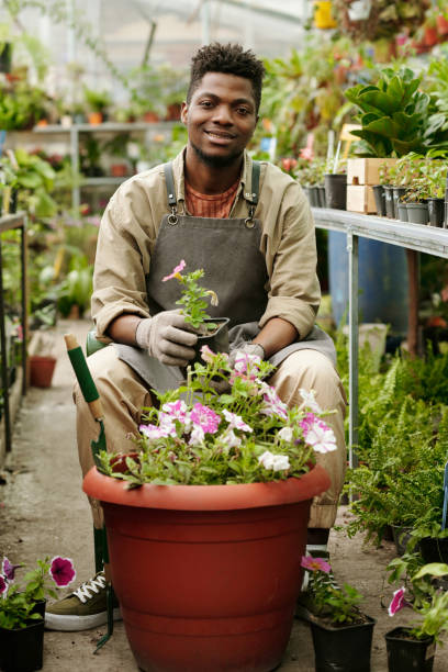 istock Gardener making flowerbed in big pot 1404610673