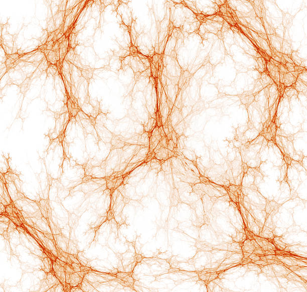 plexuses kapilarnej tło - nerve cell human nervous system capillary fractal zdjęcia i obrazy z banku zdjęć