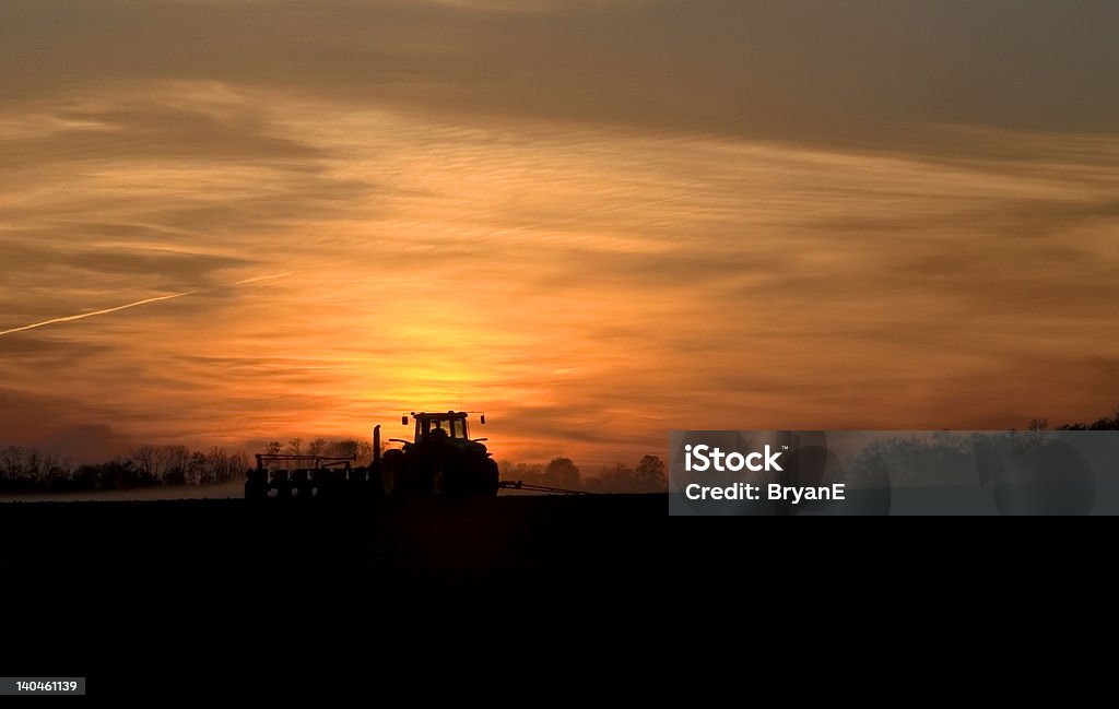 Planter dans la nuit - Photo de Agriculture libre de droits