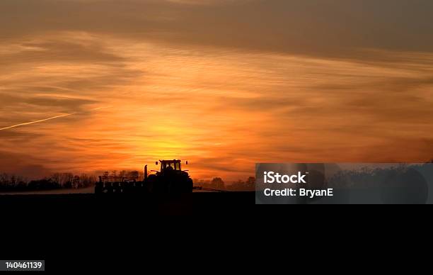 Piantare Nella Notte - Fotografie stock e altre immagini di Agricoltura - Agricoltura, Ambientazione esterna, Campo