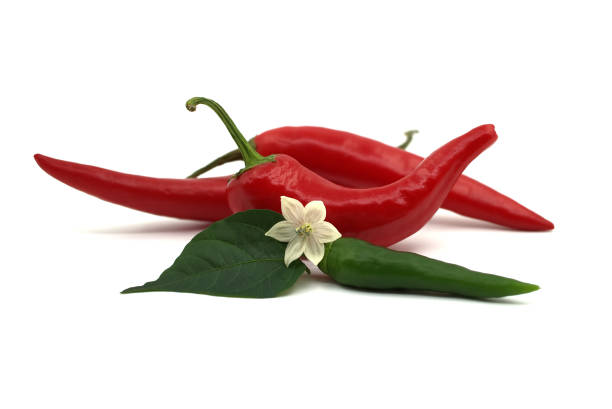 istock Chili pepper isolated with leaf on a white background 1404611766