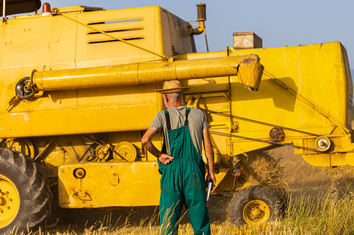 Rear view of senior farmer looking at large yellow combine harvesting