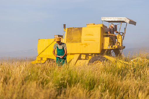 Photography of farmer in the field and combine harvester