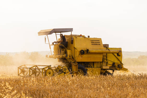 istock Yellow combine harvester in the wheat field 1404613902