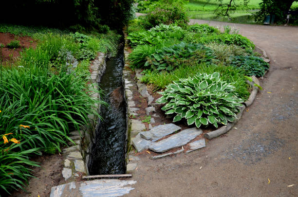 a garden of a shady nature by a stream flowing into a paved stream flowing through a bed of perennials. undergrowth perennials into a wet spring. rocky outcrop with ferns a garden of a shady nature by a stream flowing into a paved stream flowing through a bed of perennials. undergrowth perennials into a wet spring. rocky outcrop with ferns, hosta sieboldiana, filix, femina, dryopteris, matteuccia struthiopteris, hemerocallis fulva, character, variegata, lanceolata shuttlecock fern stock pictures, royalty-free photos & images