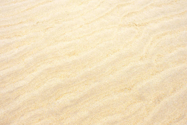 Sand on the beach close up, texture and natural background.