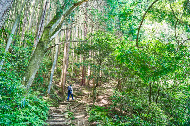 Japanese woman walk on a hiking trail called the Diamond Trail. The Diamond Trail is a long-distance nature trail that traverses the ridges of the Kongo-Katsuragi mountain range.