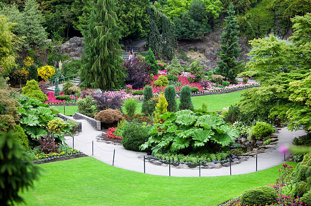 Queen Elizabeth Park A beautiful scenic view of Queen Elizabeth Park in Vancouver, Canada. elizabeth i of england photos stock pictures, royalty-free photos & images