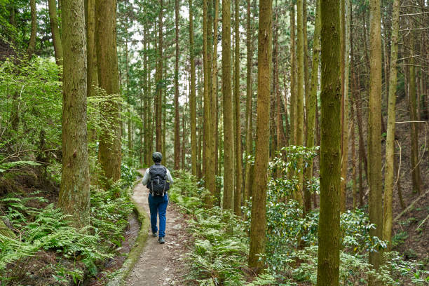 istock Asian woman walking on the trail. 1404614898