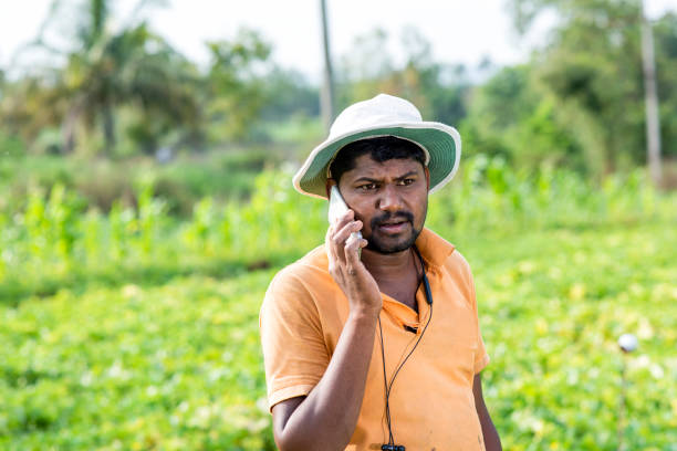istock Young Farmer Working In Cucumber Plant Outdoor Field Work 1404614950