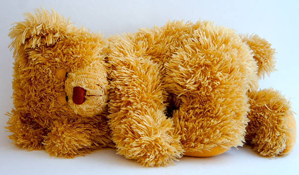 Sleeping Teddy Bear stock photo