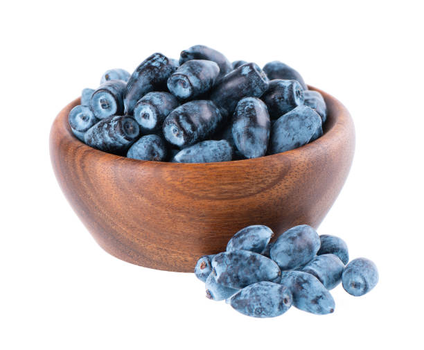Honeysuckle berries in wooden bowl, isolated on white background. Ripe berries of honeysuckle. Clipping path. Honeysuckle berries in wooden bowl, isolated on white background. Ripe berries of honeysuckle. Clipping path eutrichomyias rowleyi stock pictures, royalty-free photos & images